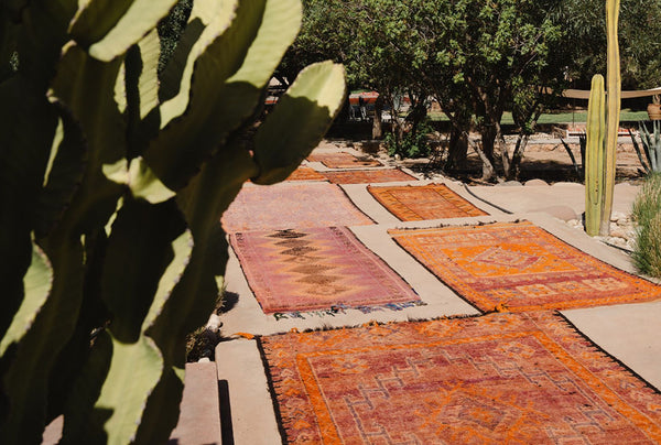 For The Lovers of Vintage Rugs - 2024 Collection Update - Nouvelle Nomad
