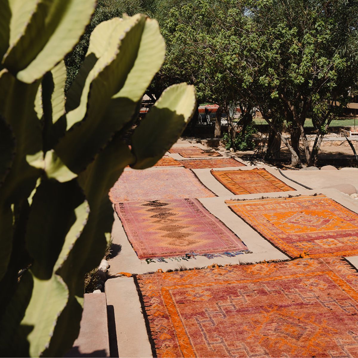 Small sized vintage moroccan rugs and runners laying on the ground - Nouvelle Nomad