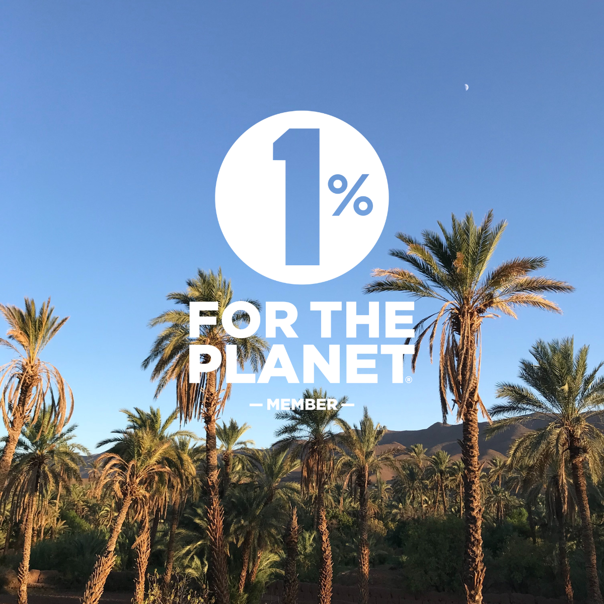 Member of 1% For The Planet logo with palm tree background - Nouvelle Nomad